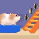 Hamster Stack Maze 9 hamster stack maze