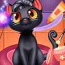 magic pet salon magic makeover